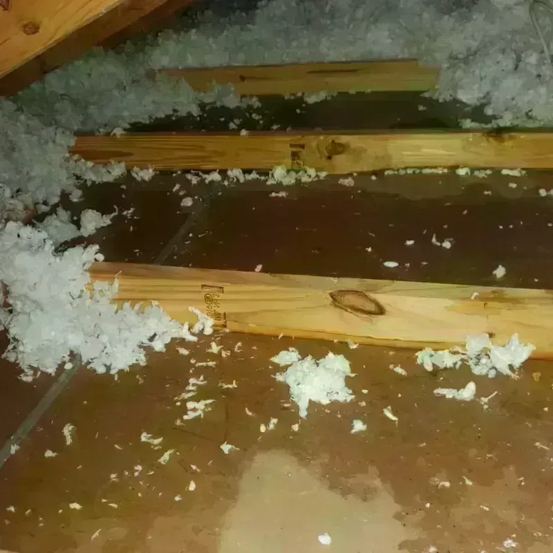 Attic Water Damage in Travis County, TX