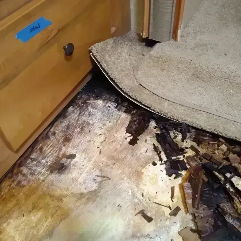 Wood Floor Water Damage in Travis County, TX